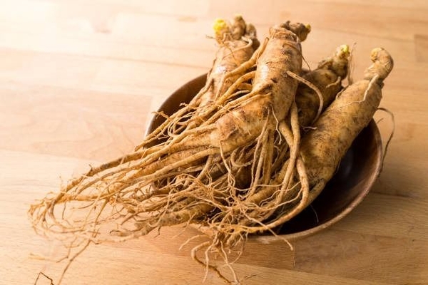 NƯỚC NHÂN SÂM CÓ TỐT KHÔNG? 5 LỢI ÍCH PHỔ BIẾN & NHỮNG ĐIỀU CẦN BIẾT