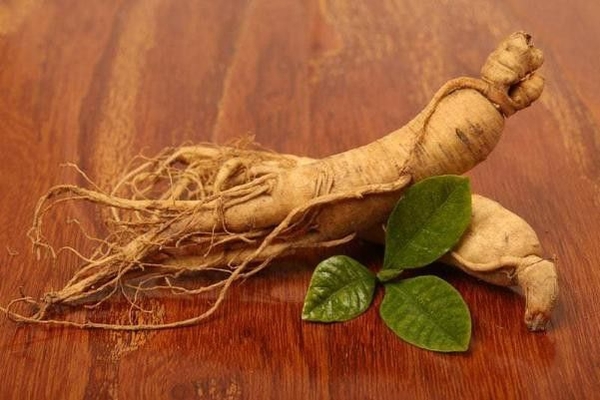Hồng Sâm 6 Tuổi – Độ Tuổi Sâm Lý Tưởng Được Nhiều Người Lựa Chọn