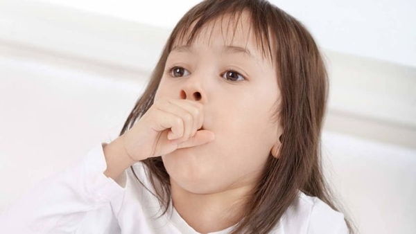 Gừng Mật Ong Có Giúp Giảm Cảm Giác Ho Không? Cách Dùng Dân Gian & Lưu Ý Khi Sử Dụng