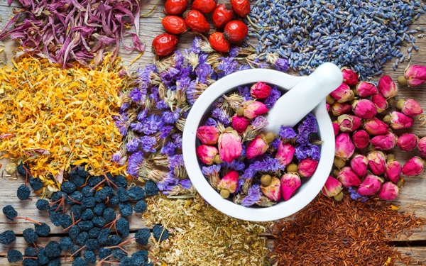Trà Thảo Mộc Tăng Cường Sức Khỏe: Gợi Ý Thưởng Thức Từ Thiên Nhiên