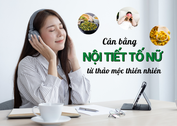 Cách Cân Bằng Nội Tiết Tố Nữ Tự Nhiên Từ Giấc Ngủ Và Thảo Mộc Thiên Nhiên