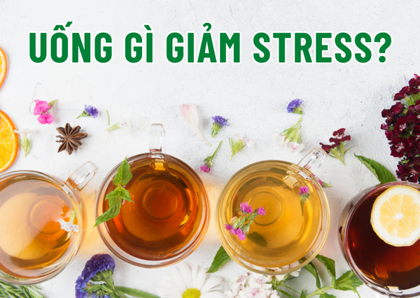 Top 5 Thức Uống Thảo Mộc Giúp Giảm Stress Và Thư Giãn