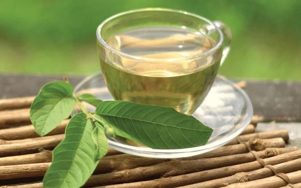 Khi Lá Ổi Việt Hóa Thân Thành Tách Trà Thanh Mát