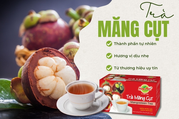 Trà Măng Cụt Và Lối Sống Lành Mạnh Của Người Hiện Đại