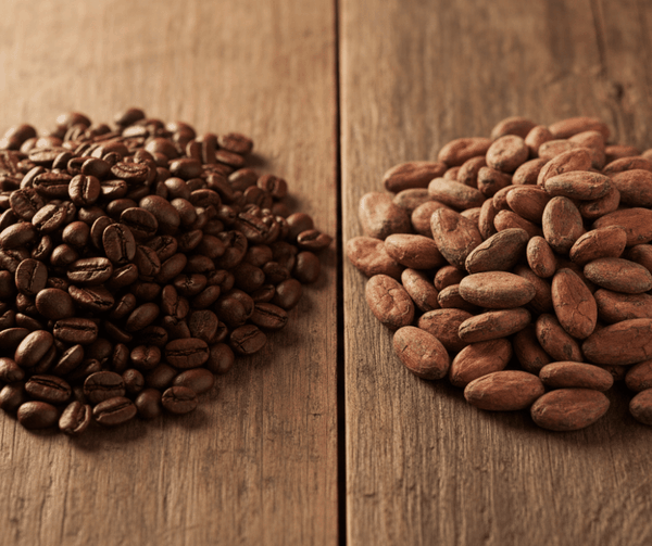So Sánh Cacao Và Cafe - Lựa Chọn Cho Sự Tỉnh Táo Tỉnh Thức
