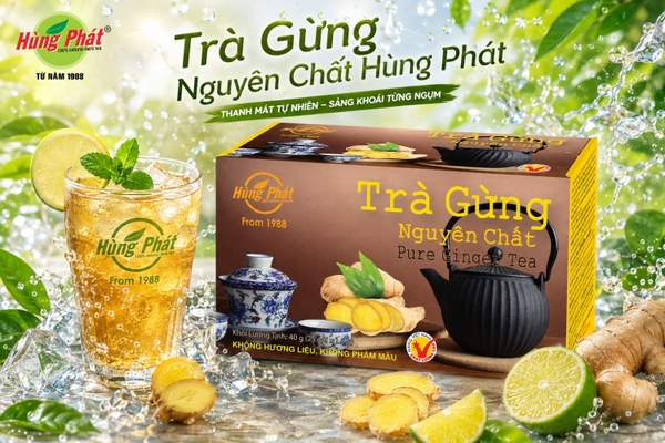 Trà Gừng Nguyên Chất Là Gì? Hiểu Đúng Về Sản Phẩm Từ Gừng Tươi