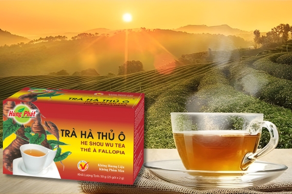 Ai Nên Uống Trà Hà Thủ Ô Hằng Ngày?
