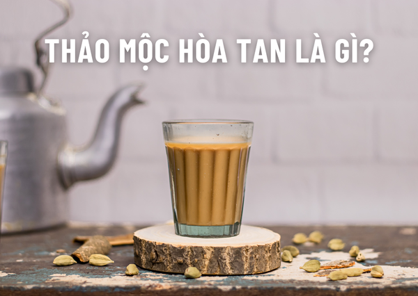 Thảo Mộc Hòa Tan Là Gì? Lý Do Thức Uống Từ Thiên Nhiên Này Được Nhiều Người Yêu Thích