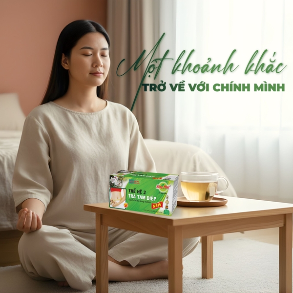 Thiền Trà 3 Phút: Nghi Thức Nhẹ Nhàng Với Trà Tam Diệp Thế Hệ 2