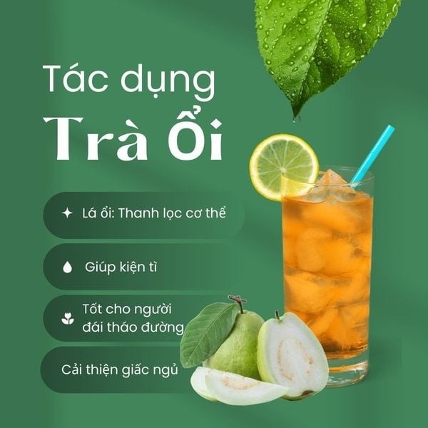 Công Dụng Trà Ổi – Thanh Lọc, Cân Bằng Và Dễ Chịu Tự Nhiên