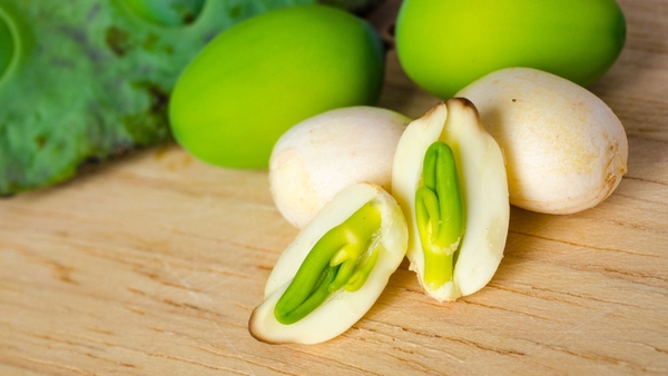 Trà Tim Sen: Cách Pha Đúng Chuẩn Để Giữ Trọn Hương Vị Thảo Mộc