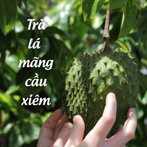 Trà Lá Mãng Cầu Xiêm – Hương Thơm Thanh Mát, Bình An Mỗi Ngày