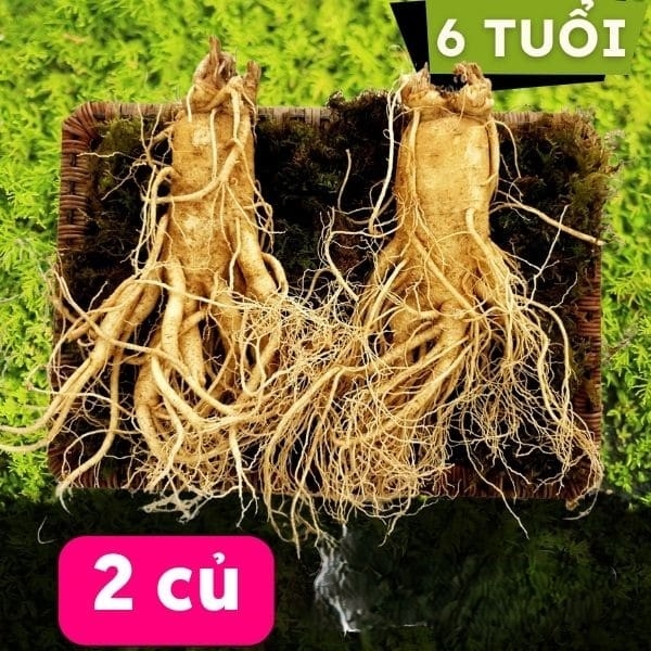 Nhân sâm tươi Hàn Quốc 2 củ 1kg