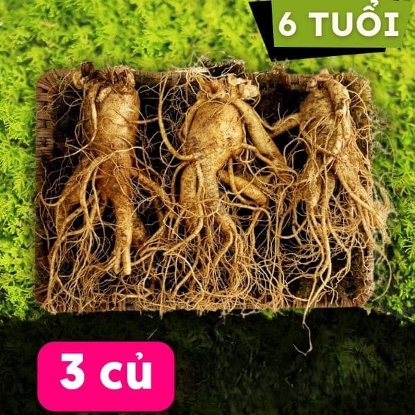 Nhân sâm tươi Hàn Quốc 3 củ 1kg
