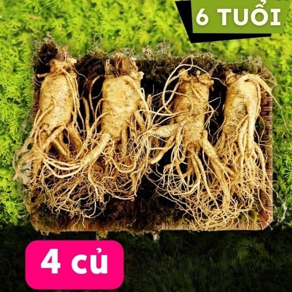 Nhân sâm tươi Hàn Quốc 4 củ 1kg