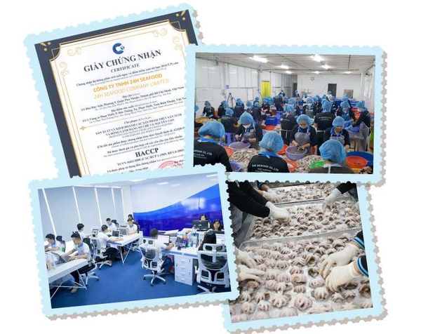 Banner Giới Thiệu Công Ty 24h Seafood