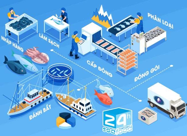 Tại sao chọn chúng tôi?