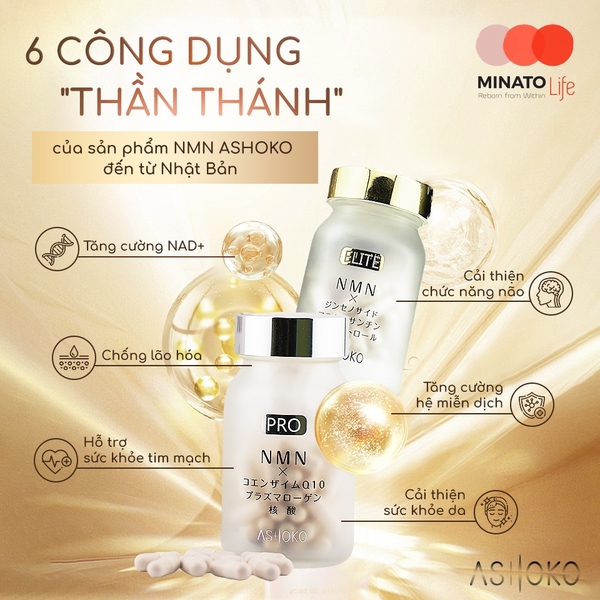 NMN Ashoko PRO (20 viên) - Viên uống Chống lão hóa và Làm đẹp da
