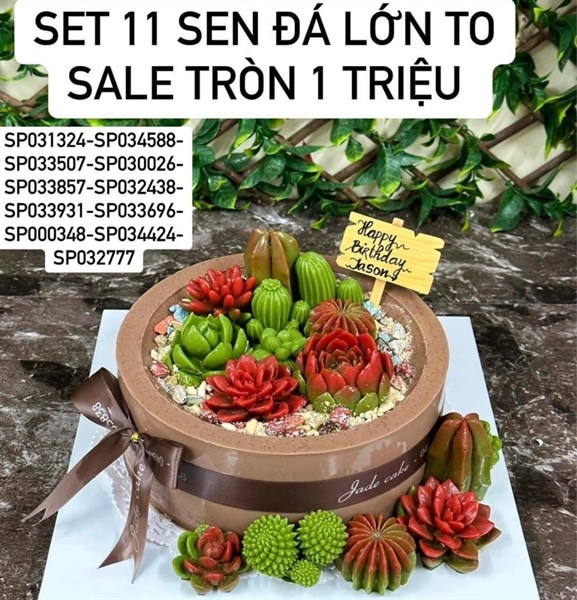 Combo 11 Khuôn Silicon Sen Đá 1Tr1