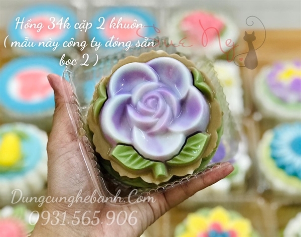 Khuôn Nhựa RCVT - RT02 - Hồng 1c Kèm Lá