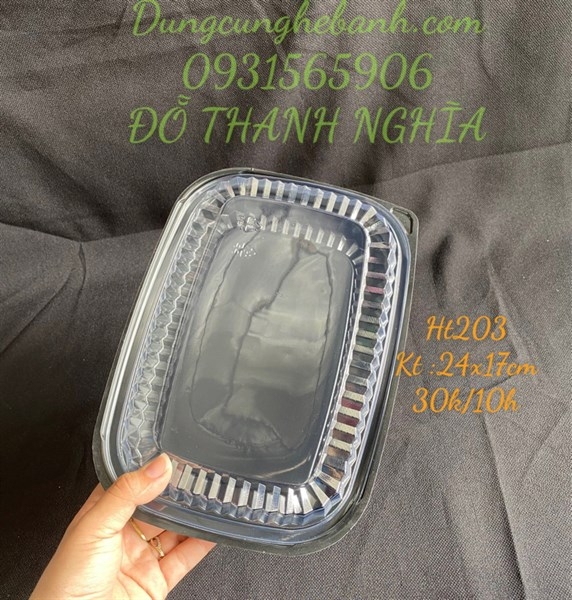 Hộp Nhựa - Chữ Nhật HT203 - 24x17cm Cao 5cm