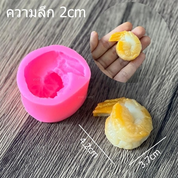 Khuôn Silicon - Biển - Tôm Lọt Võ