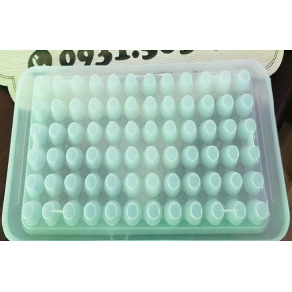 Khay Đá Nhựa HPL - HPL11 - 72c Hình Chóp