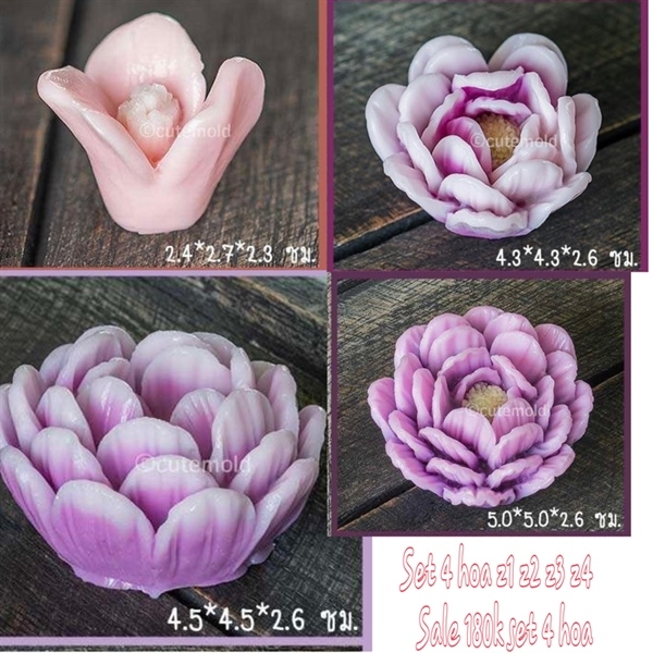 Combo 4 Trà MẫU Đơn Z1 Z2 Z3 Z4