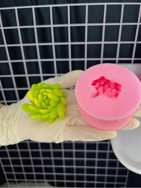 Khuôn Silicon - Sen Đá TIA - Cánh Tia Xoay 6.5cm