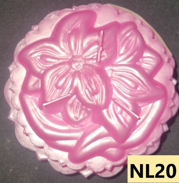 Khuôn Nhựa RCNL - NL20 - Lan Nhật