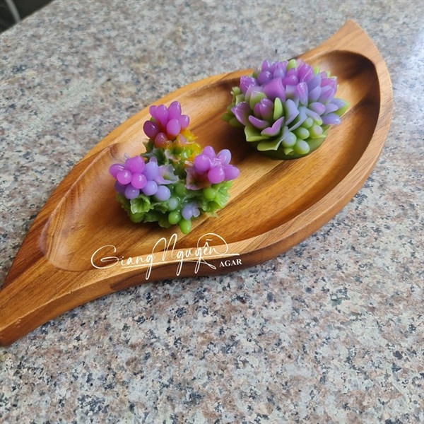 Khuôn Silicon - Sen Đá Nở - Set 2 - Chùm Bụi Hoa