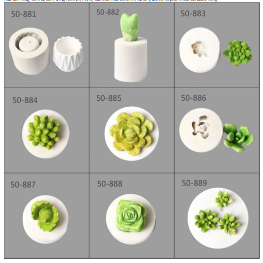 Khuôn Silicon - Sen Đá Mầm  2.5cm