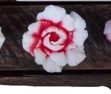 Khuôn Silicon - Hoa Cẩm Chướng Kép - 3cm