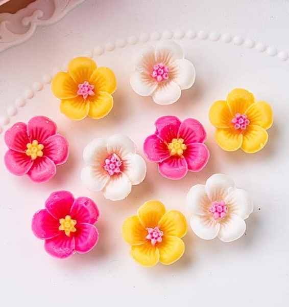 Khuôn Silicon - Hoa Mai Đào - 2.5cm - 6c HOT