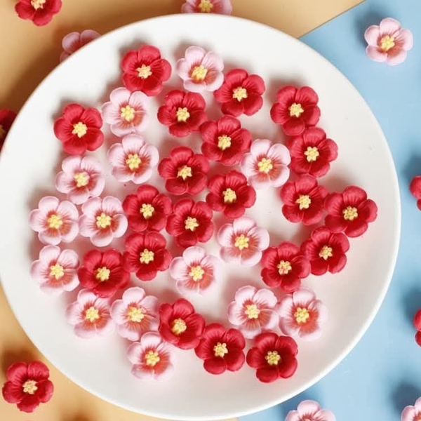 Khuôn Silicon - Hoa Mai Đào - 2.5cm - 6c HOT