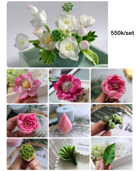 Khuôn Silicon - Combo Set 9 Hoa Sen Nở sale 550k