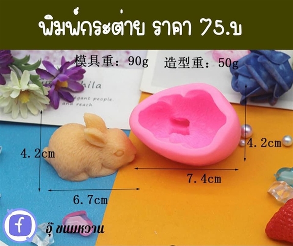 Khuôn Silicon - Động Vật - Con Thỏ Ngọc