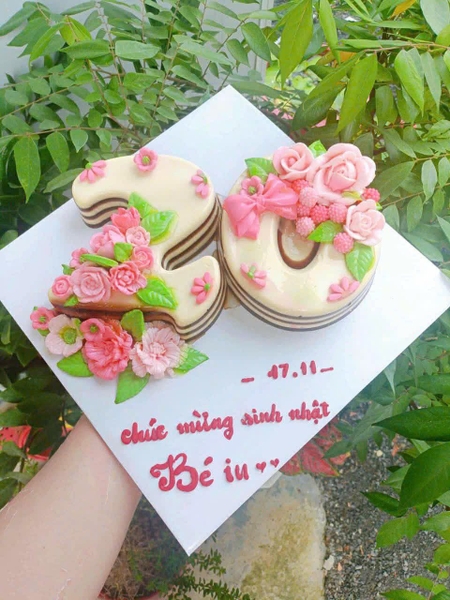 Khuôn Silicon - Số 0-9 - Số To 25cm (9 & 6 dùng chung)