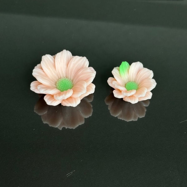 Khuôn Silicon Cúc Phi Set 2 95k