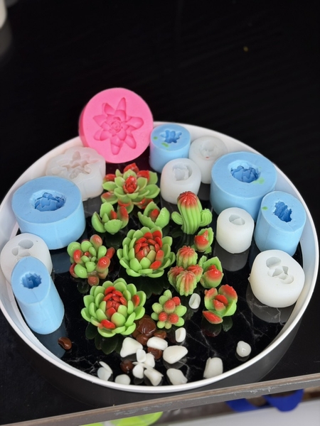 Combo 12 Khuôn Sen Đá Sale Live 249k