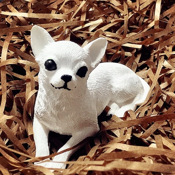 Khuôn Silicon - Động Vật - Chó Chiwawa