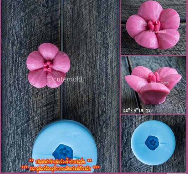 Khuôn Silicon - Hoa Mai Đào Set 3 - V30 V31 V32