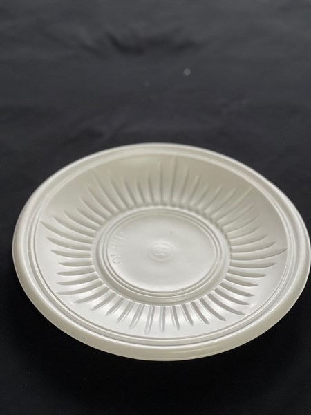 Dĩa Nhựa Oval THH - Sấp 50 Dĩa - 19cm