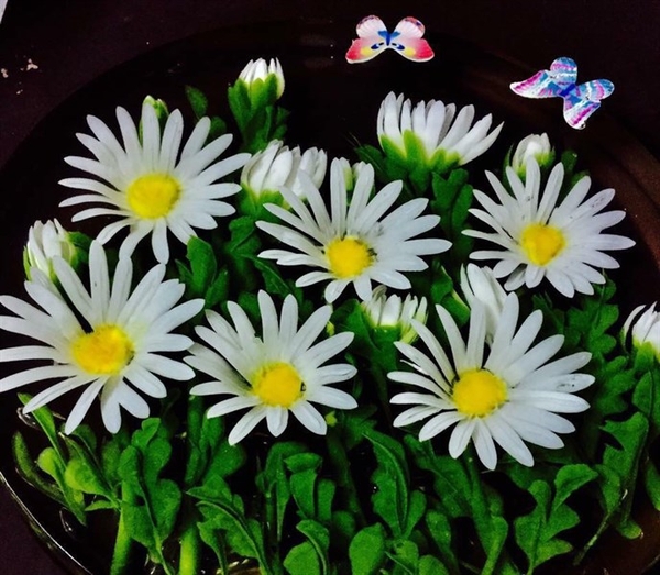 Kim 3D Inox - Bộ 5 - Mẫu 42 Hoa Cúc Họa Mi Cúc Daisy