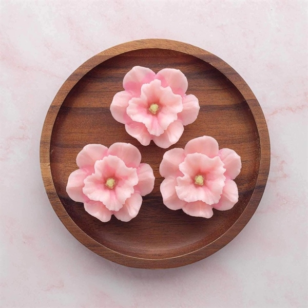 Khuôn Silicon - Hoa Cúc - Cánh Thẳng-cúc thủy tiên  - 5.2cm