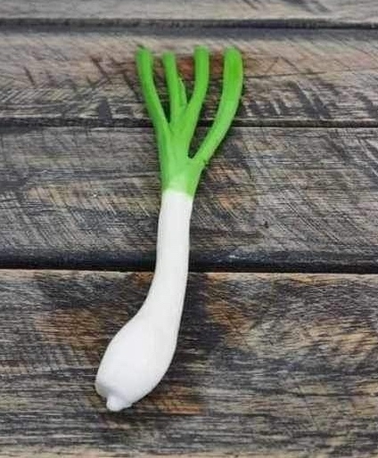 Khuôn Silicon - Rau Củ - Cây Hành To