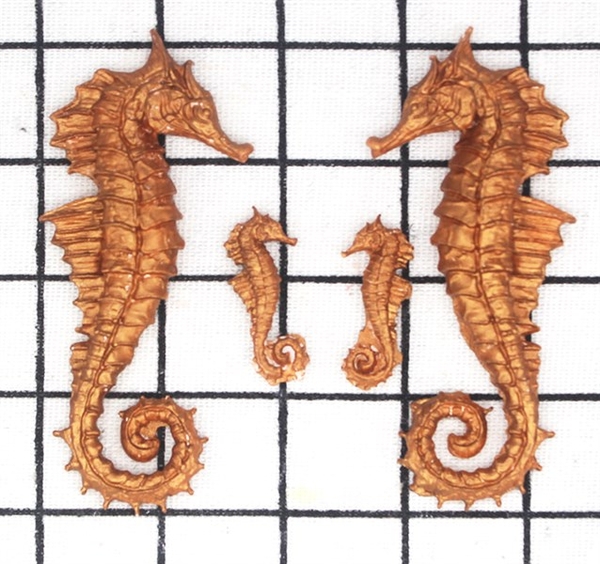 Khuôn Silicon - Biển - Cá Ngựa 4c