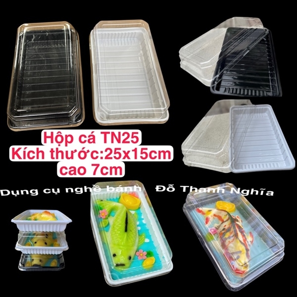 Hộp Nhựa - Chữ Nhật TN25 - 25x15cm Cao 7cm đế đen set 5 hộp