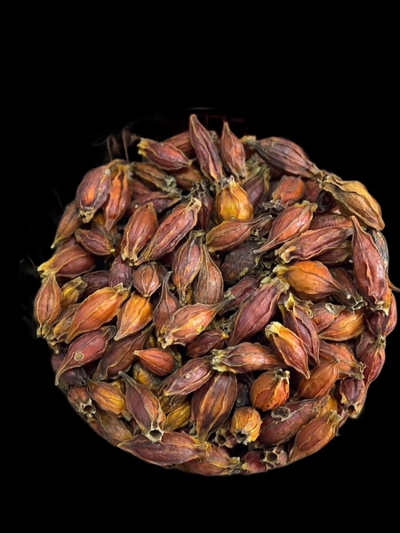 Tạo Màu TN - Hạt Dành Dành