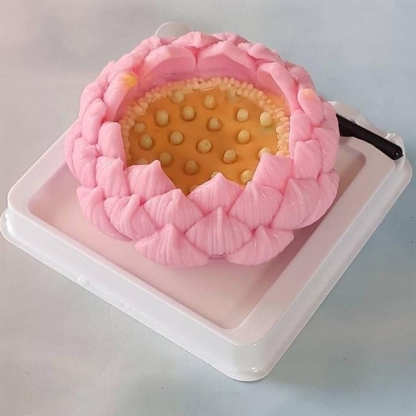 Khuôn Silicon - Hoa Sen Thái Nở - Đài Hoa Sen 7cm Búp Sen